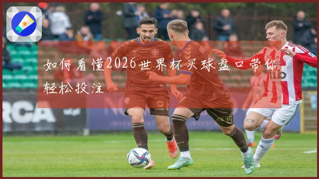 如何看懂2026世界杯买球盘口带你轻松投注