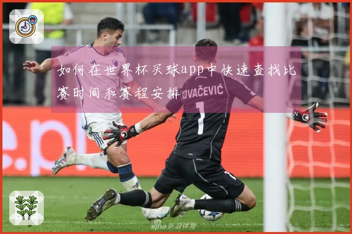 如何在世界杯买球app中快速查找比赛时间和赛程安排