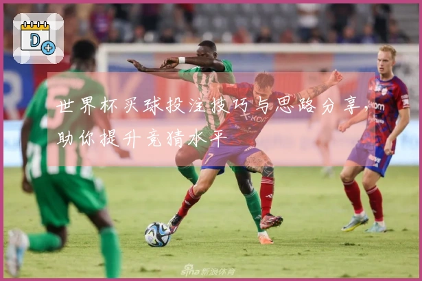 世界杯买球投注技巧与思路分享，助你提升竞猜水平
