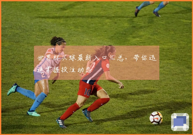 世界杯买球最新入口汇总，带你迅速掌握投注动态