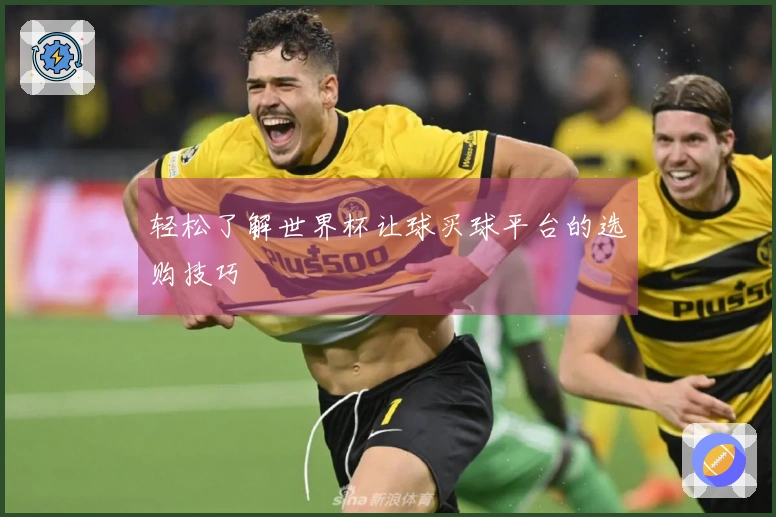 轻松了解世界杯让球买球平台的选购技巧