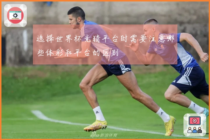 选择世界杯竞猜平台时需要注意哪些体彩和平台的区别