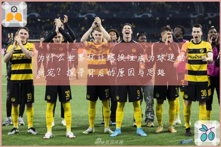 为什么世界杯让球投注成为球迷的新宠？探寻背后的原因与思路