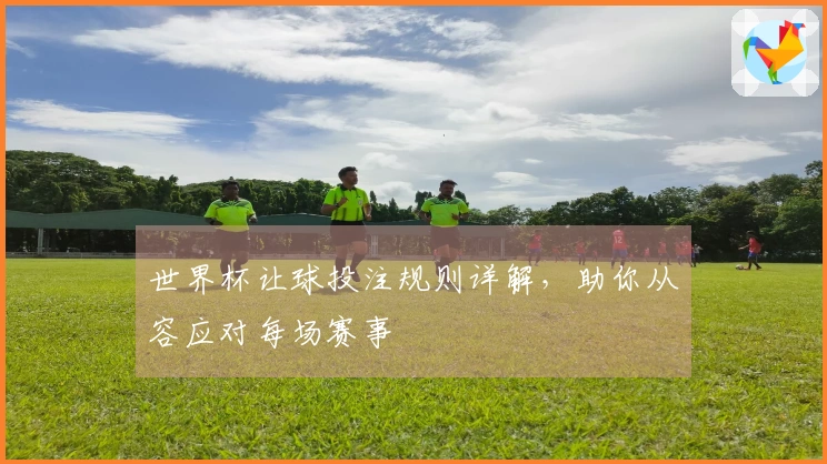 世界杯让球投注规则详解，助你从容应对每场赛事
