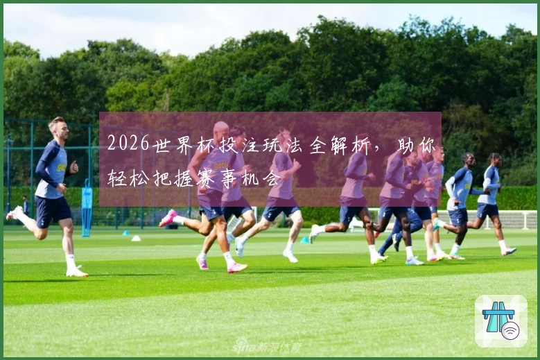 2026世界杯投注玩法全解析，助你轻松把握赛事机会