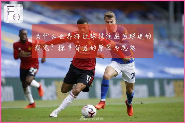 为什么世界杯让球投注成为球迷的新宠？探寻背后的原因与思路