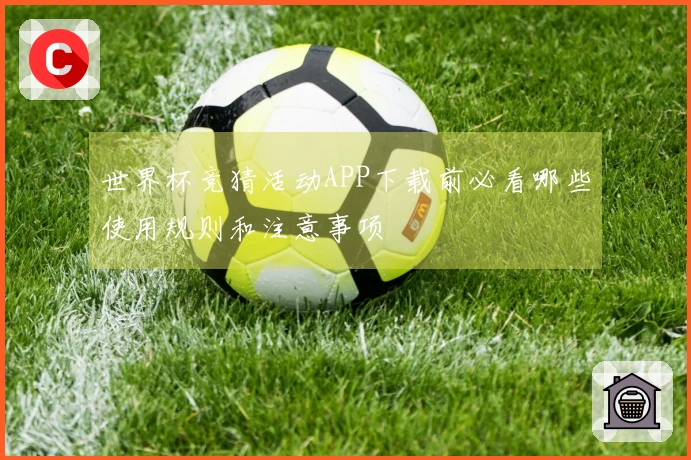 世界杯竞猜活动APP下载前必看哪些使用规则和注意事项