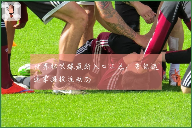 世界杯买球最新入口汇总，带你迅速掌握投注动态