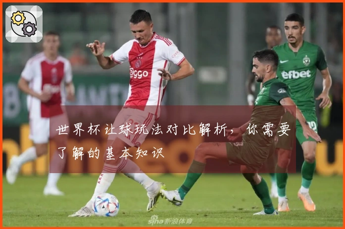 世界杯让球玩法对比解析，你需要了解的基本知识