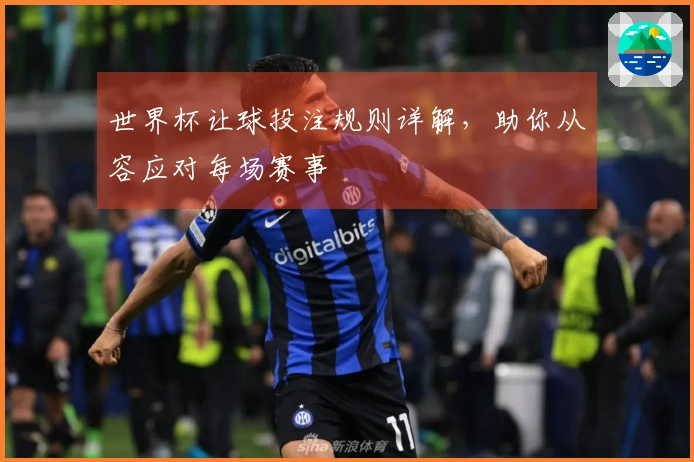 世界杯让球投注规则详解，助你从容应对每场赛事