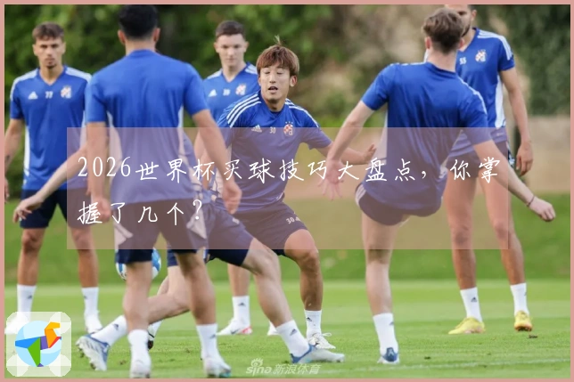 2026世界杯买球技巧大盘点，你掌握了几个？