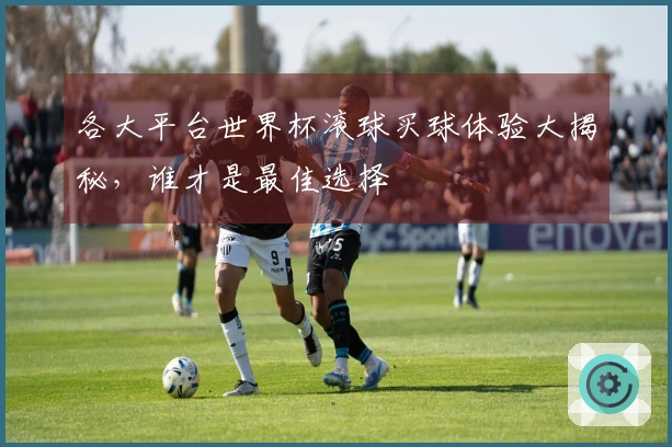 各大平台世界杯滚球买球体验大揭秘，谁才是最佳选择