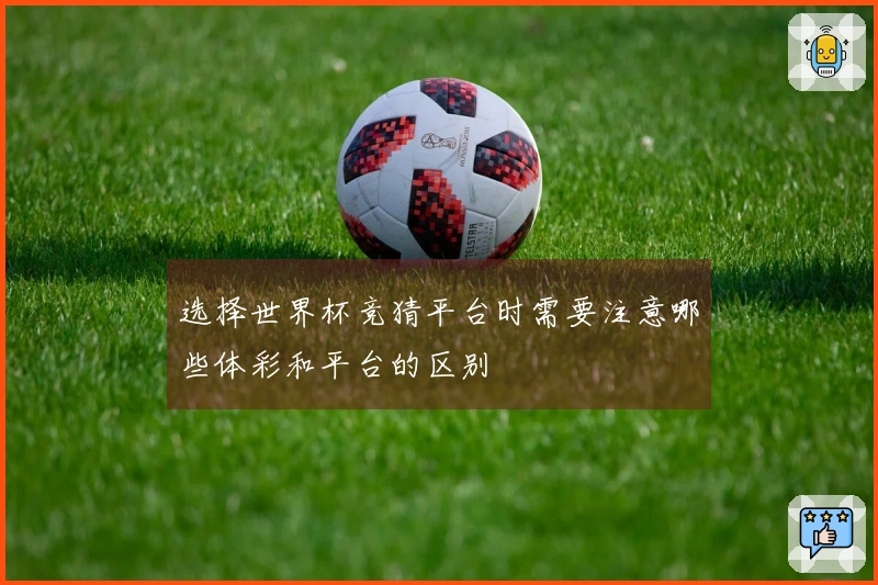 选择世界杯竞猜平台时需要注意哪些体彩和平台的区别