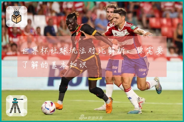 世界杯让球玩法对比解析，你需要了解的基本知识